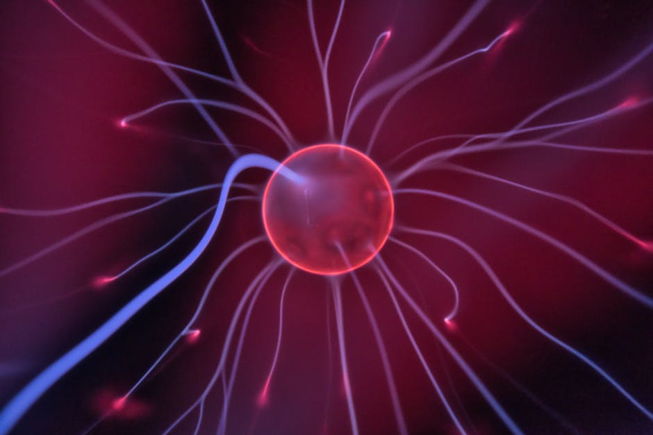 plasma rico en plaquetas Zaragoza